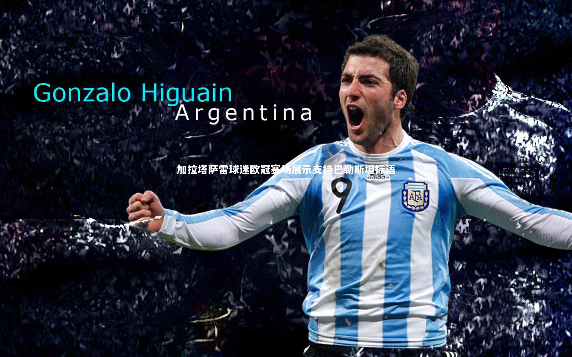 加拉塔萨雷球迷欧冠赛场展示支持巴勒斯坦标语