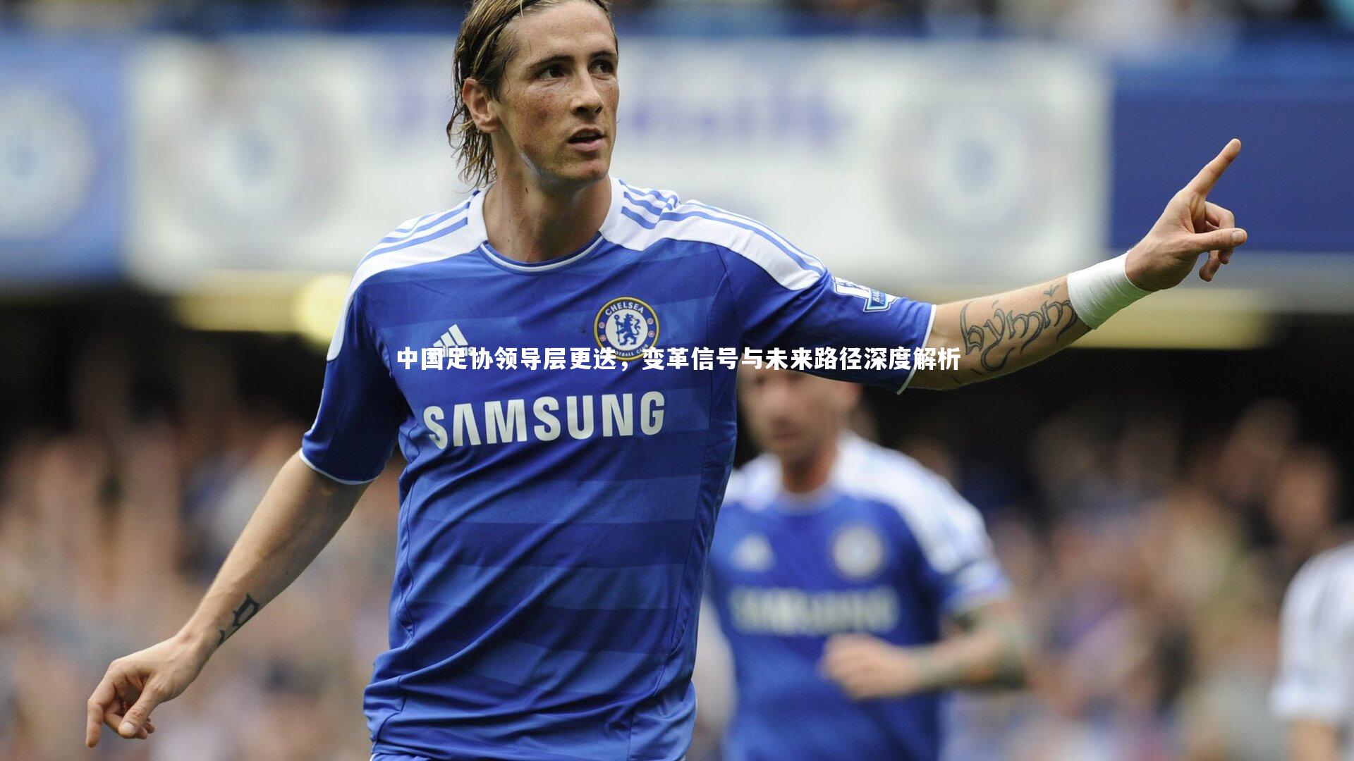 【南宫28】中国足协领导层更迭，变革信号与未来路径深度解析